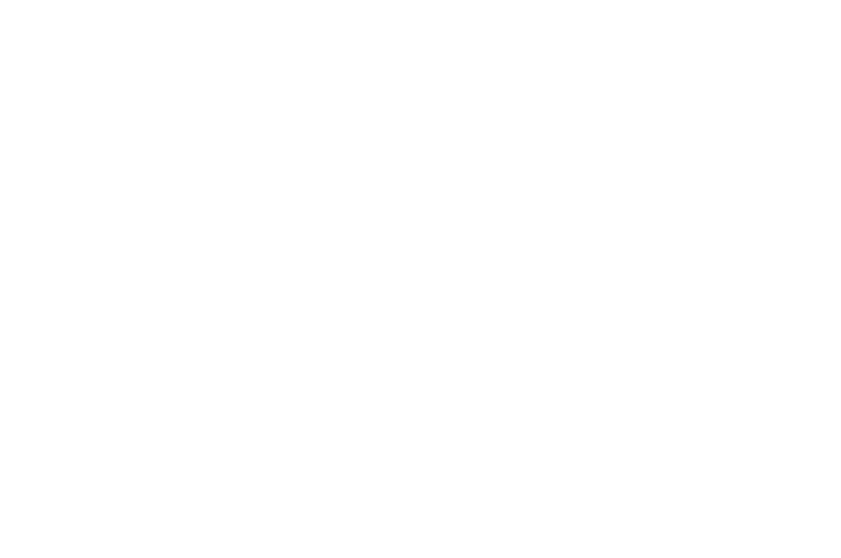Kochlík