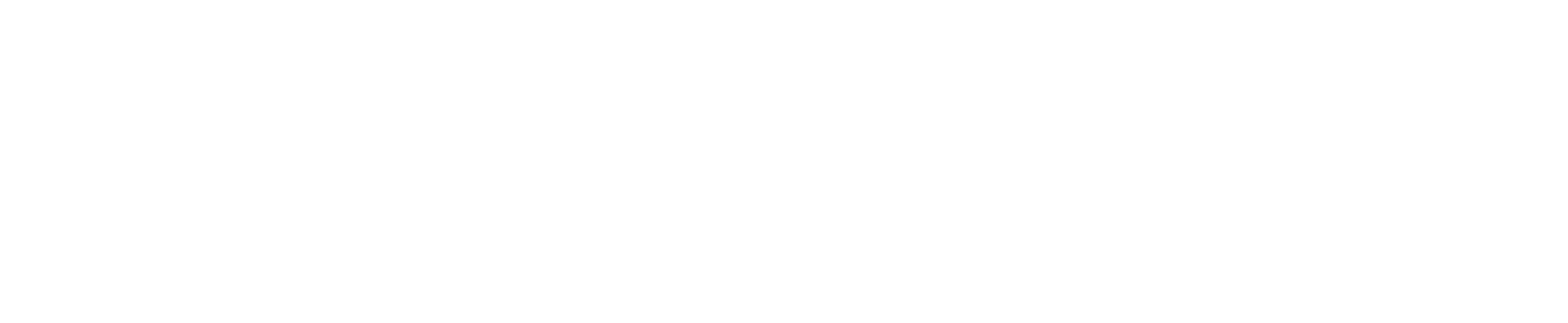 Pavel Hons