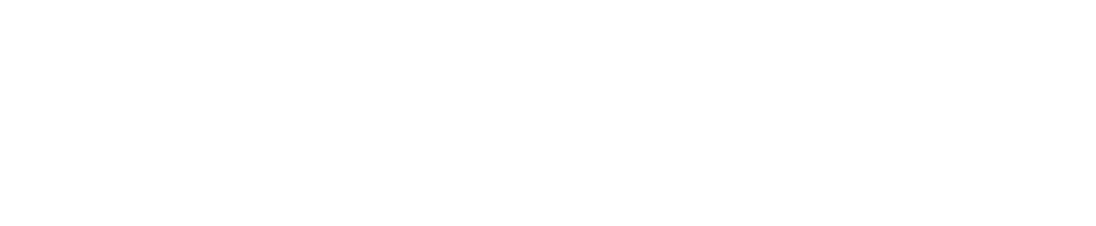 VT Project