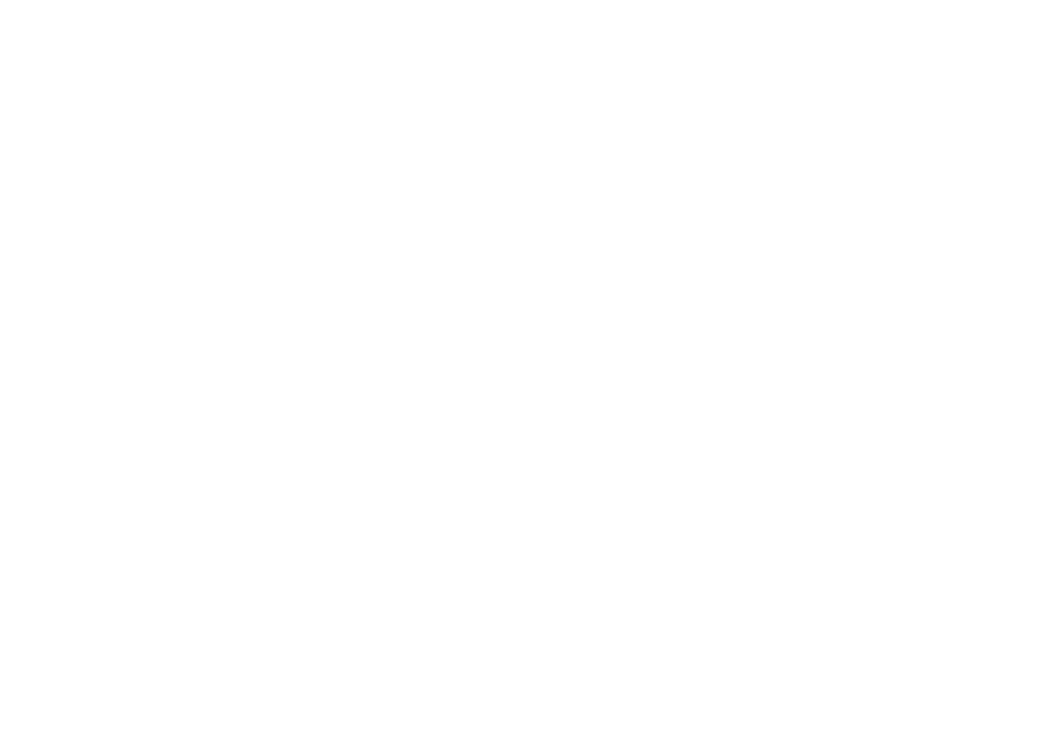 Factum Profi